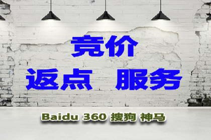 百度推广运营实战：成功案例解析